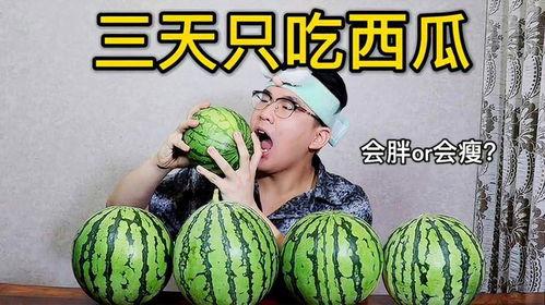 吃瓜王第三季全集免费,揭秘娱乐圈风云，免费观看全集大揭秘